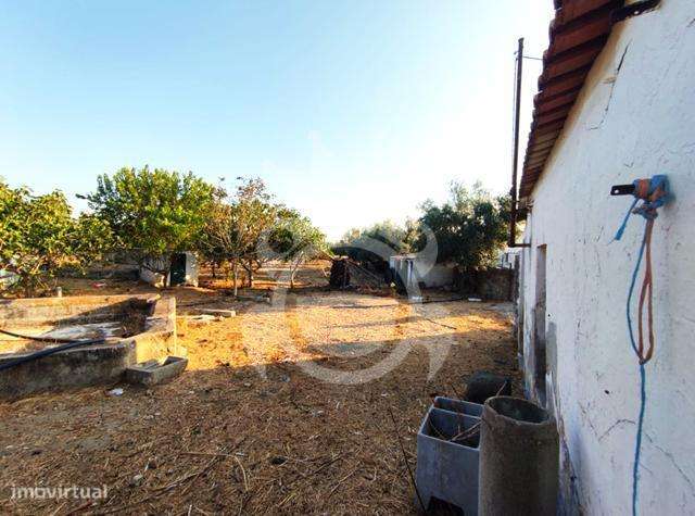 Quintinha aldeia da Caridade-7