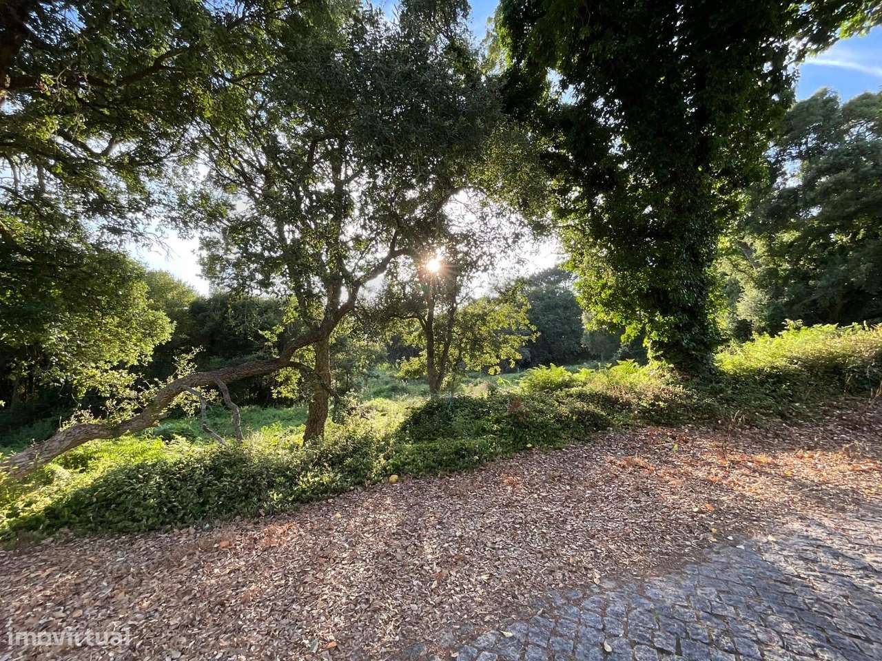 Terreno para Construção em Esposende - Grande imagem: 4/6