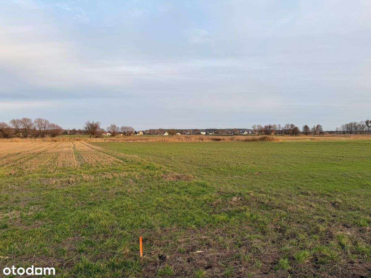 Działki rolne na sprzedaż | bliskość rzeki-4
