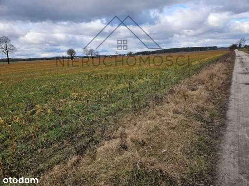 Działka budowlana w Białej - Pełny obrazek: 5/16