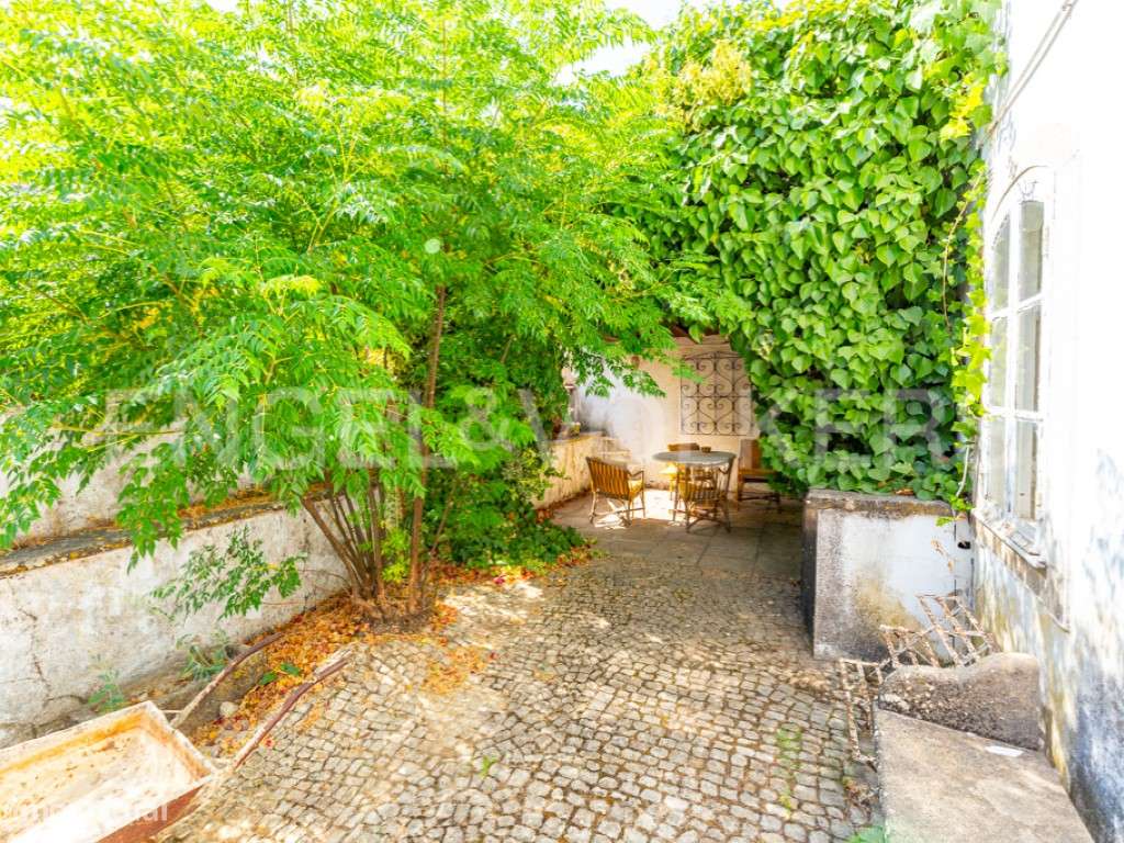 Propriedade tradicional com olival em São Brás de Alportel - Grande imagem: 4/23