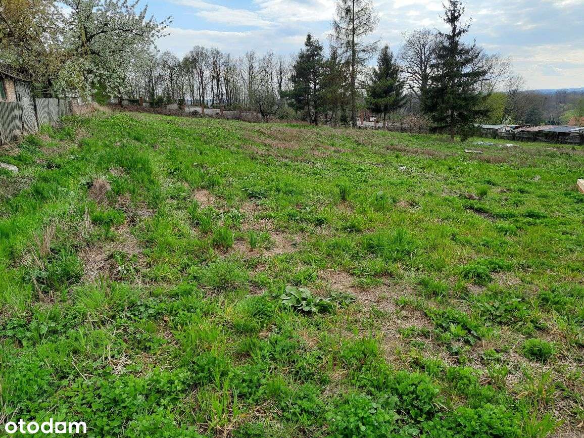 Działka budowlana 24 ary; Wrocław, Sarby, Przeworno; PIĘKNA OKOLICA - Pełny obrazek: 3/8