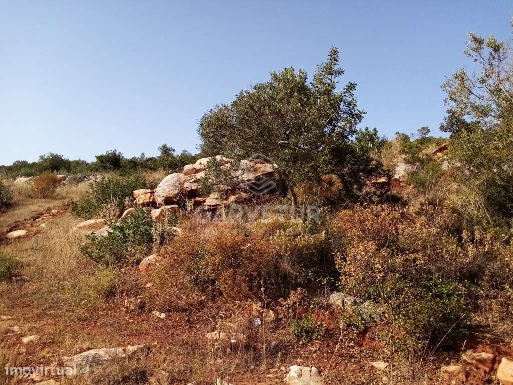 Terreno Rústico perto de Loulé, Loulé, Algarve - Grande imagem: 2/11