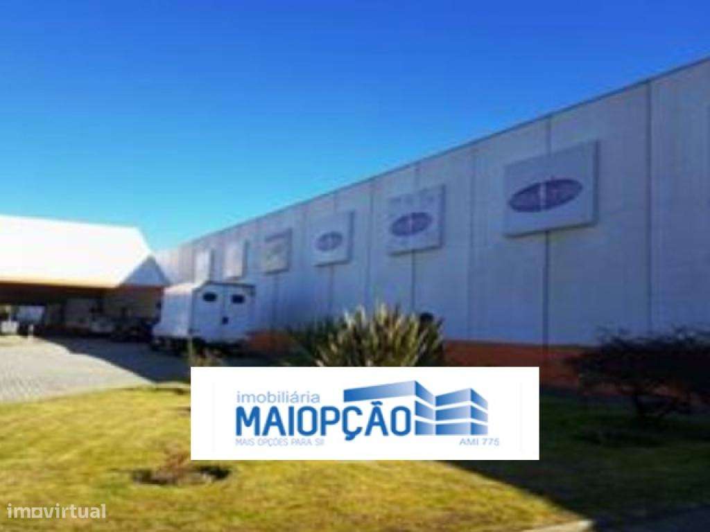 loja em pombal - Grande imagem: 5/6