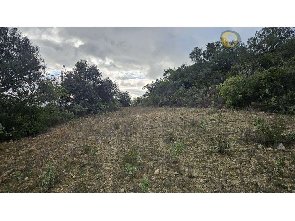 Terreno Rústico em Estoi com Poço-19