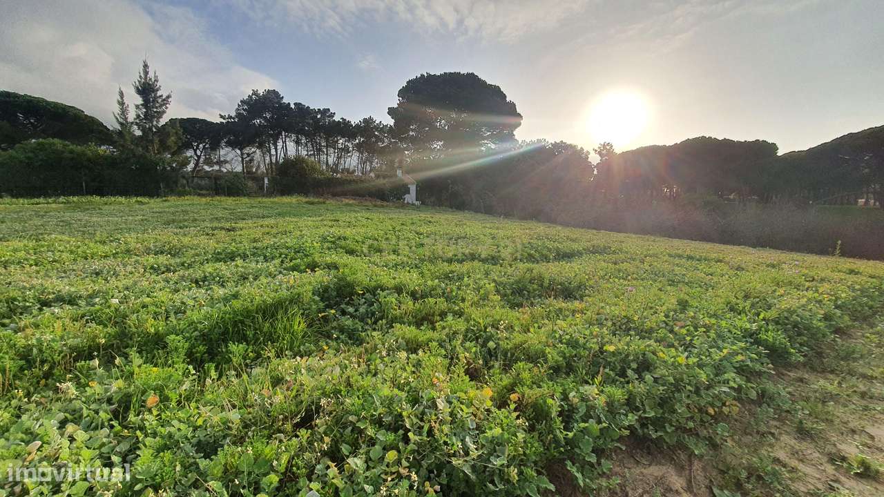 Terreno no meco para apoio agricola ou empreendimento turistico.-10