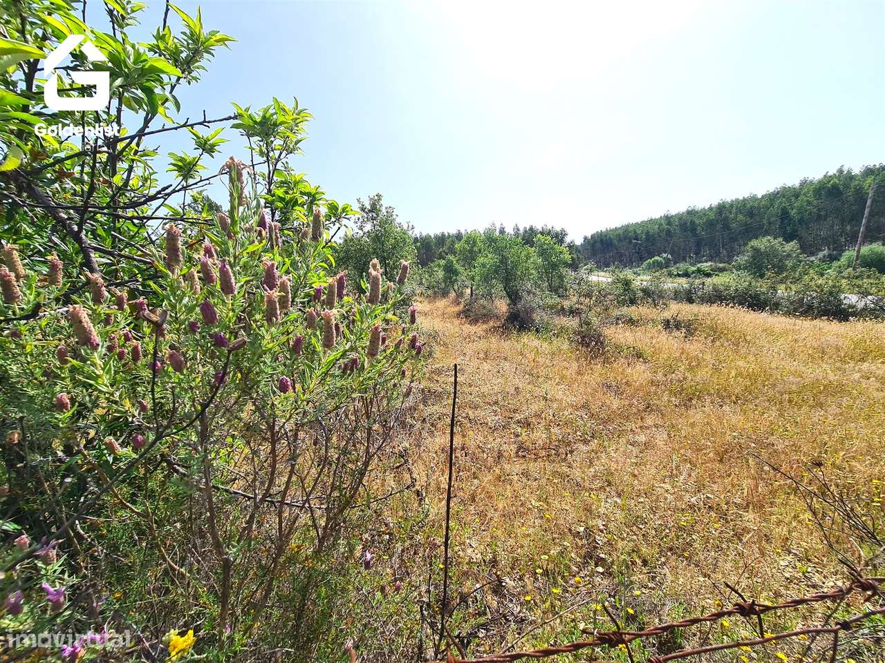 Quinta  Venda em Sarnadas de Ródão,Vila Velha de Ródão-19