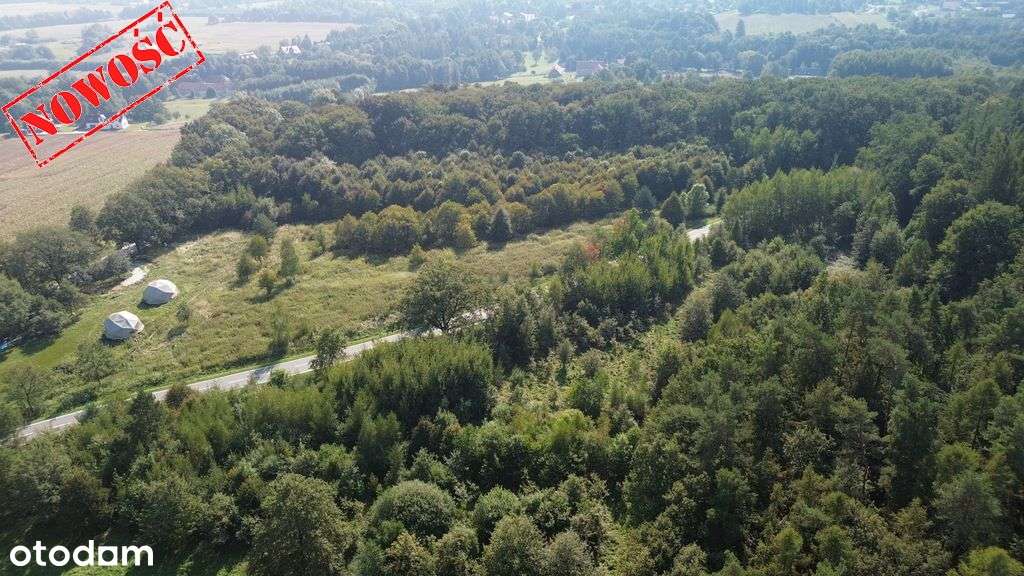 Działka rolno-leśna pod lesem Będkowice-3