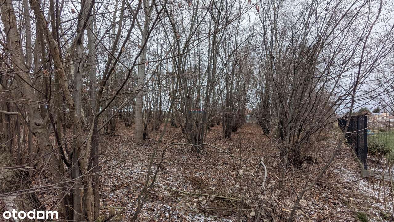 Działka budowlana 1600 m2 w zabudowie domów jednorodzinnych.-2