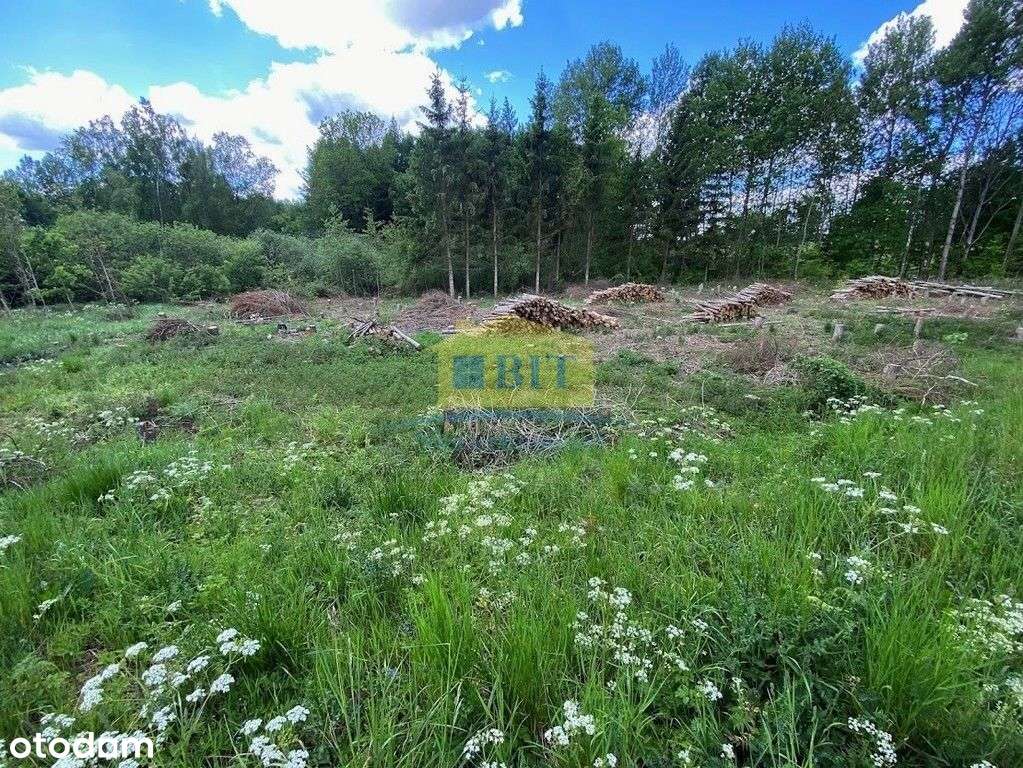 Dwie działki 4320 m2, Bobrowo gm. Złocieniec, Wz - Pełny obrazek: 4/11