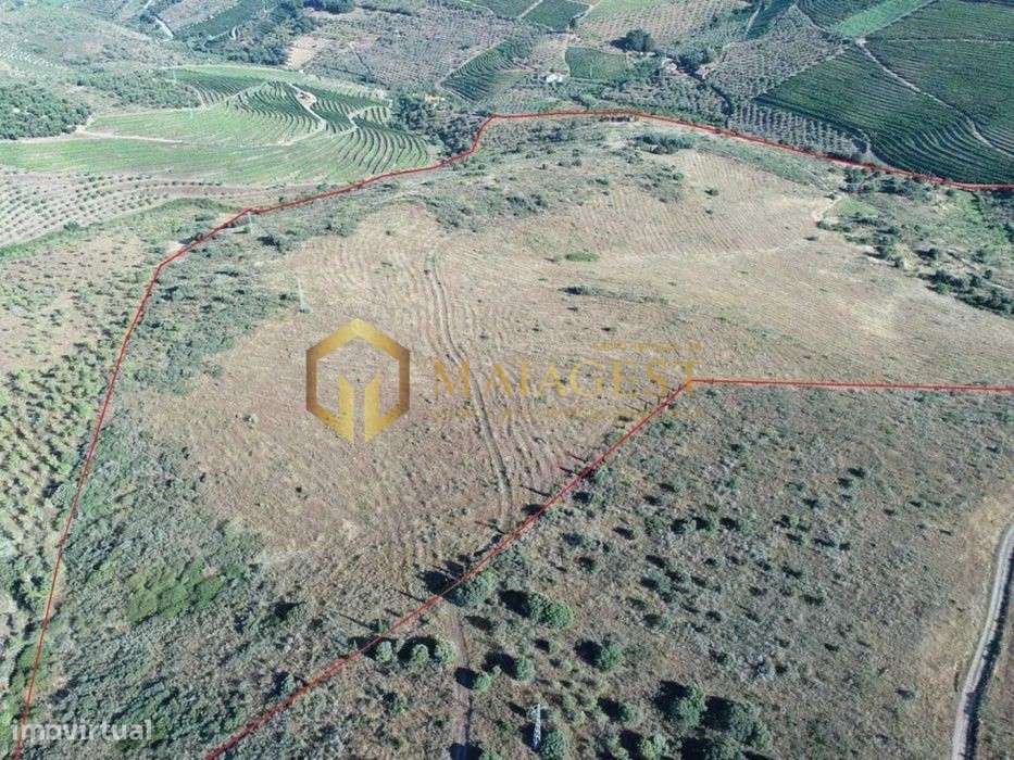 Terreno agrícola para produção de vinho em Freixo de Espada a Cinta - Grande imagem: 5/14