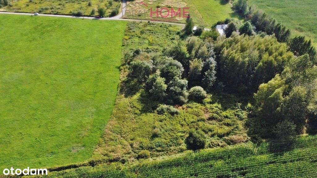 Sprzedam działkę budowlaną z Wz - Olchowa - Pełny obrazek: 4/6