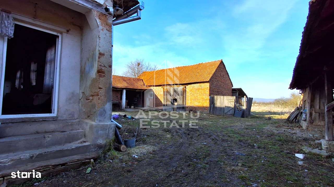 Casa de caramida in Tela si Teren Generos de 4320 mp - Imagine principală: 4/20