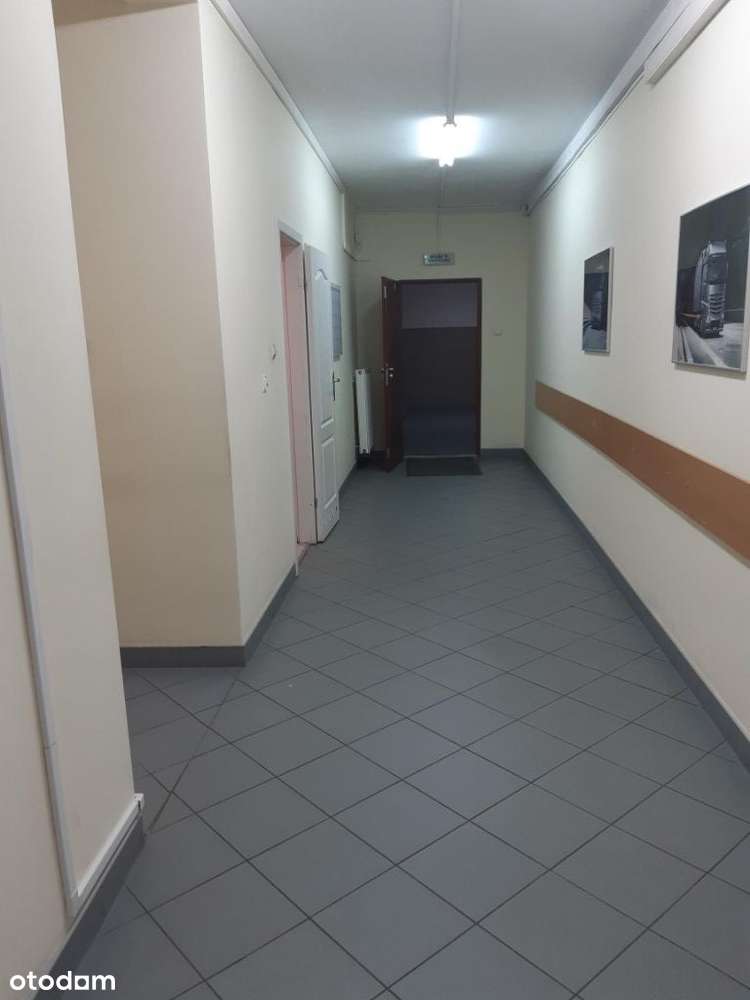 Słubice ul. Kopernika 13 powierzchnia do wynajęcia - Pełny obrazek: 5/11