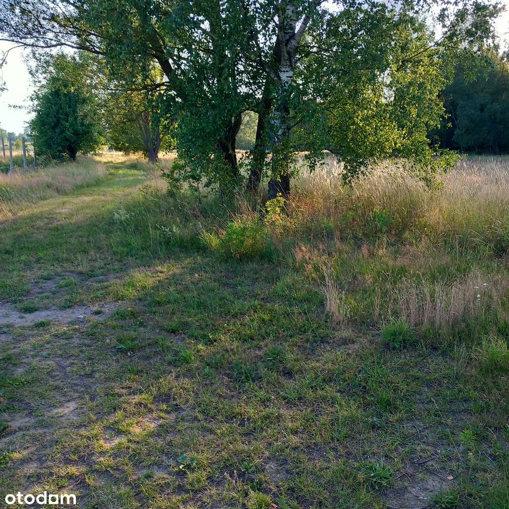 Skraj małej wsi, sąsiedztwo pola golfowego, media obok, droga gminna-9