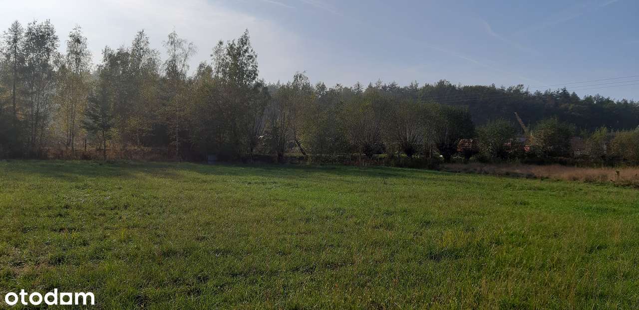 Działka budowlana 12ar/Prochowice//MPZP/Prąd - Pełny obrazek: 5/11