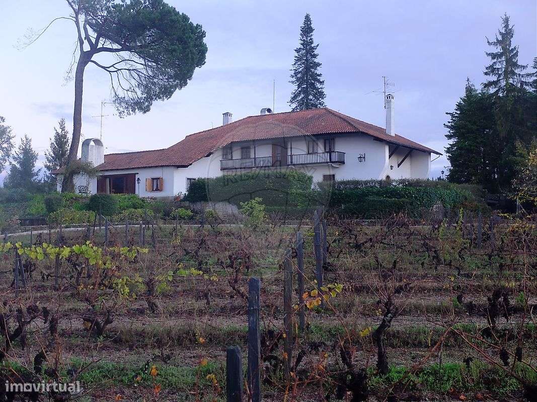 Quinta T8 para venda - Grande imagem: 4/44