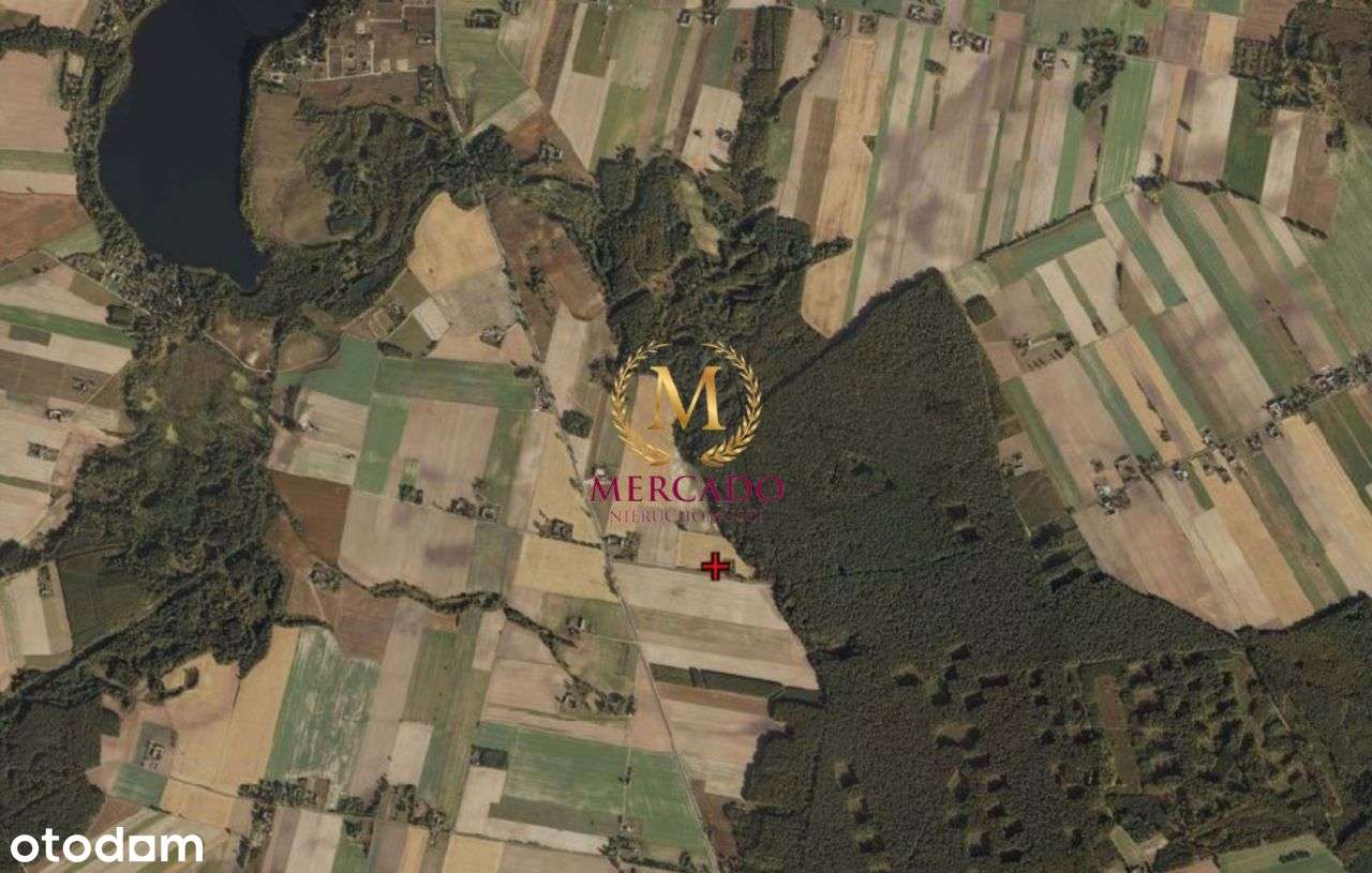 |Działka z warunkami zabudowy|2929m2! | - Pełny obrazek: 5/5