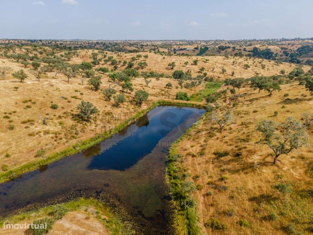 Herdade em Vila Nova de São Bento | 172 hectares-5