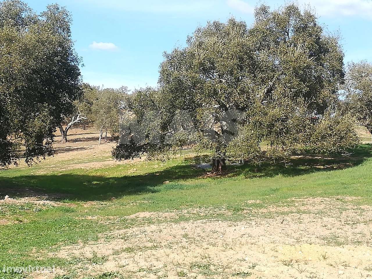 Herdade para Construção com 30 Hectares em Santiago do Cacém, Setúbal - Grande imagem: 4/10