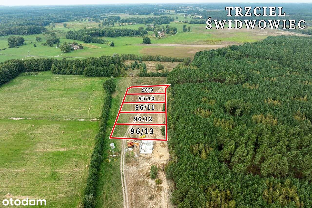 Na sprzedaż działka przy lesie z WZ Trzciel - Pełny obrazek: 5/8