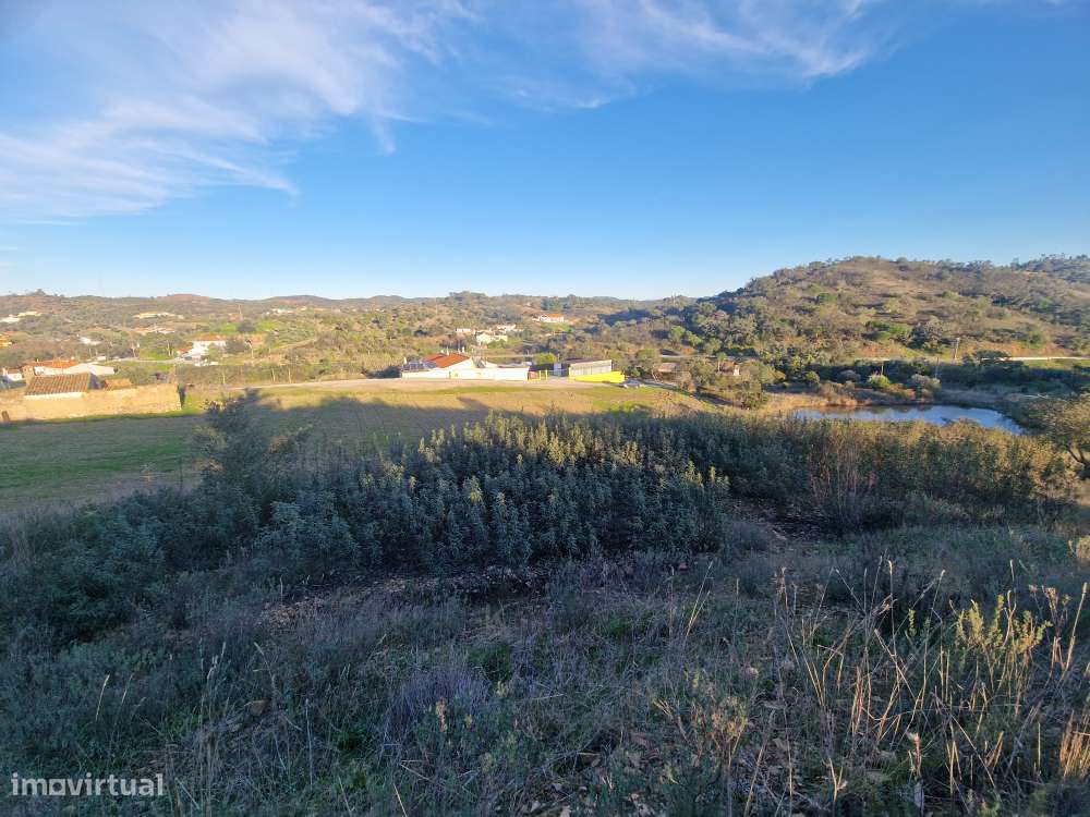 Terreno Rústico - Vale Figueira, Messines-13