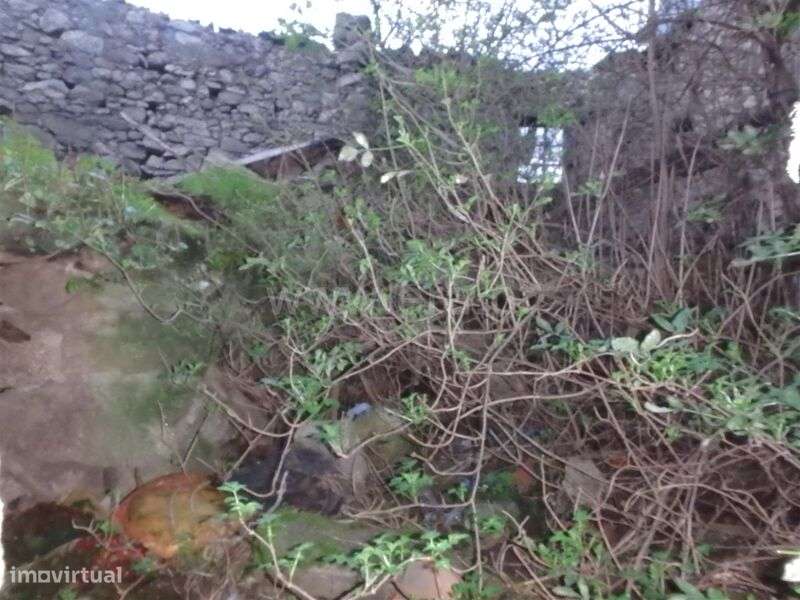 Moradia Estúdio / Seia, Santa Marinha - Grande imagem: 5/9