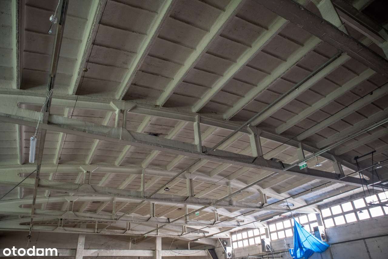 Hala-Magazynowo - Produkcyjna 3100,30m2 Bydgoszcz-10