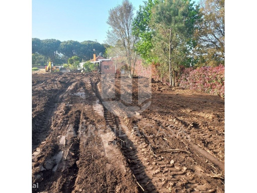 Terreno em Vila Frescainha (São Pedro)