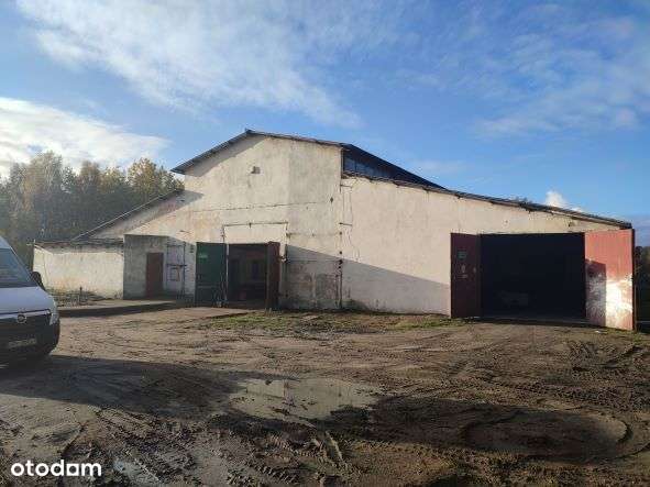 Sprzedam Halę do remontu  z projektem dok.  i pozwoleniem na remont . - Pełny obrazek: 4/13