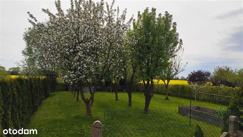 Super propozycja na nieruchomość rekreacyjną i ... - Pełny obrazek: 5/20