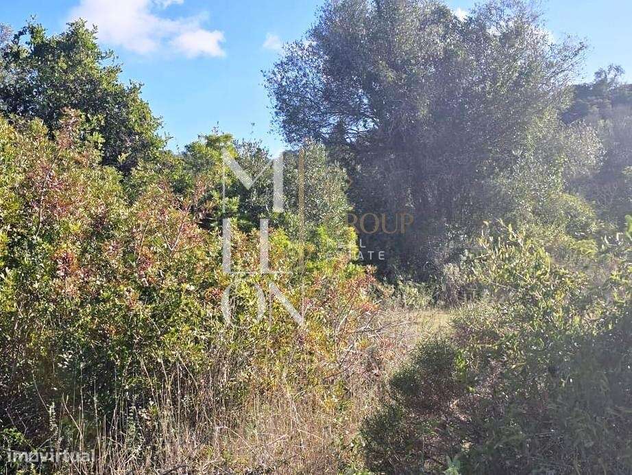 Terreno rústico com 4.000 m2 – Excelente oportunidade - Grande imagem: 2/7
