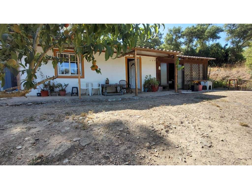 Lote em São Teotónio-0