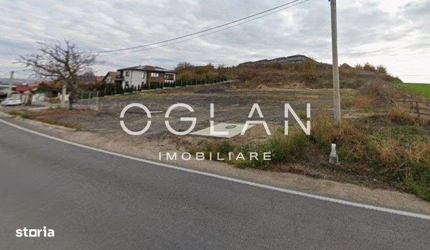 Teren Imprejmuit, la sosea (DN14)- SURA MARE - Imagine principală: 4/9