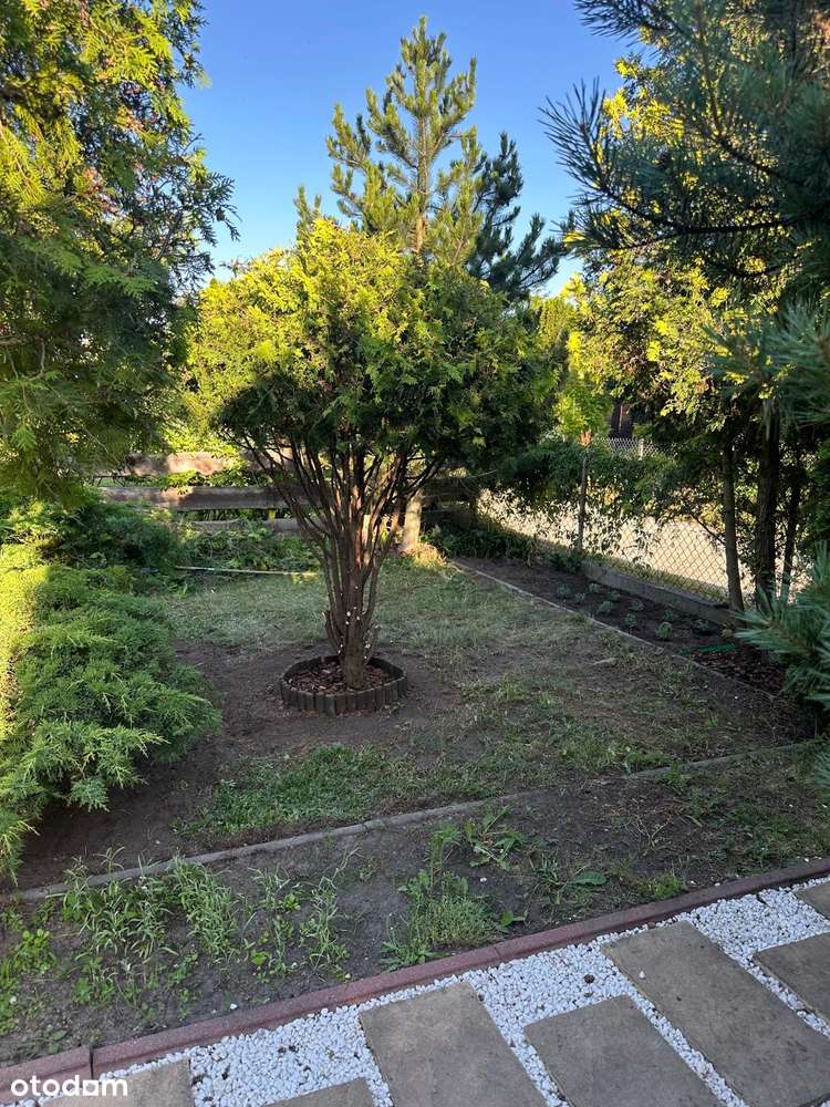 Działka ROD Bemowo II - Pełny obrazek: 4/10