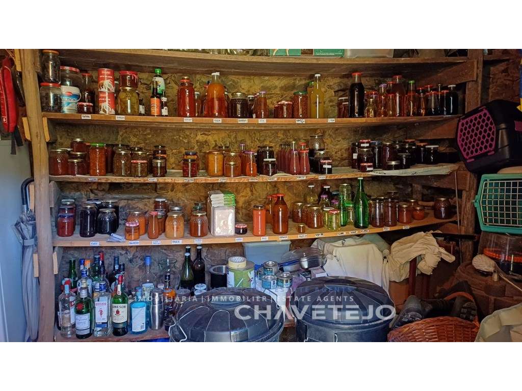 Encantador Turismo Rural em Figueiró dos Vinhos-8