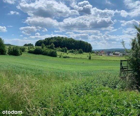 Działka w Lubaniu z widokiem na góry!Nowa cena! - Pełny obrazek: 3/12