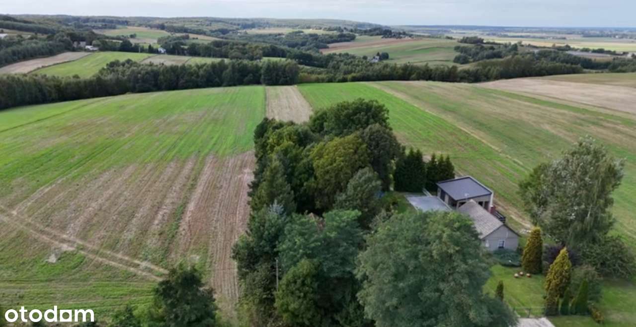 Działka godzinę drogi od Krakowa 0,7 ha Przybysławice - OBNIŻKA CENY! - Pełny obrazek: 1/11