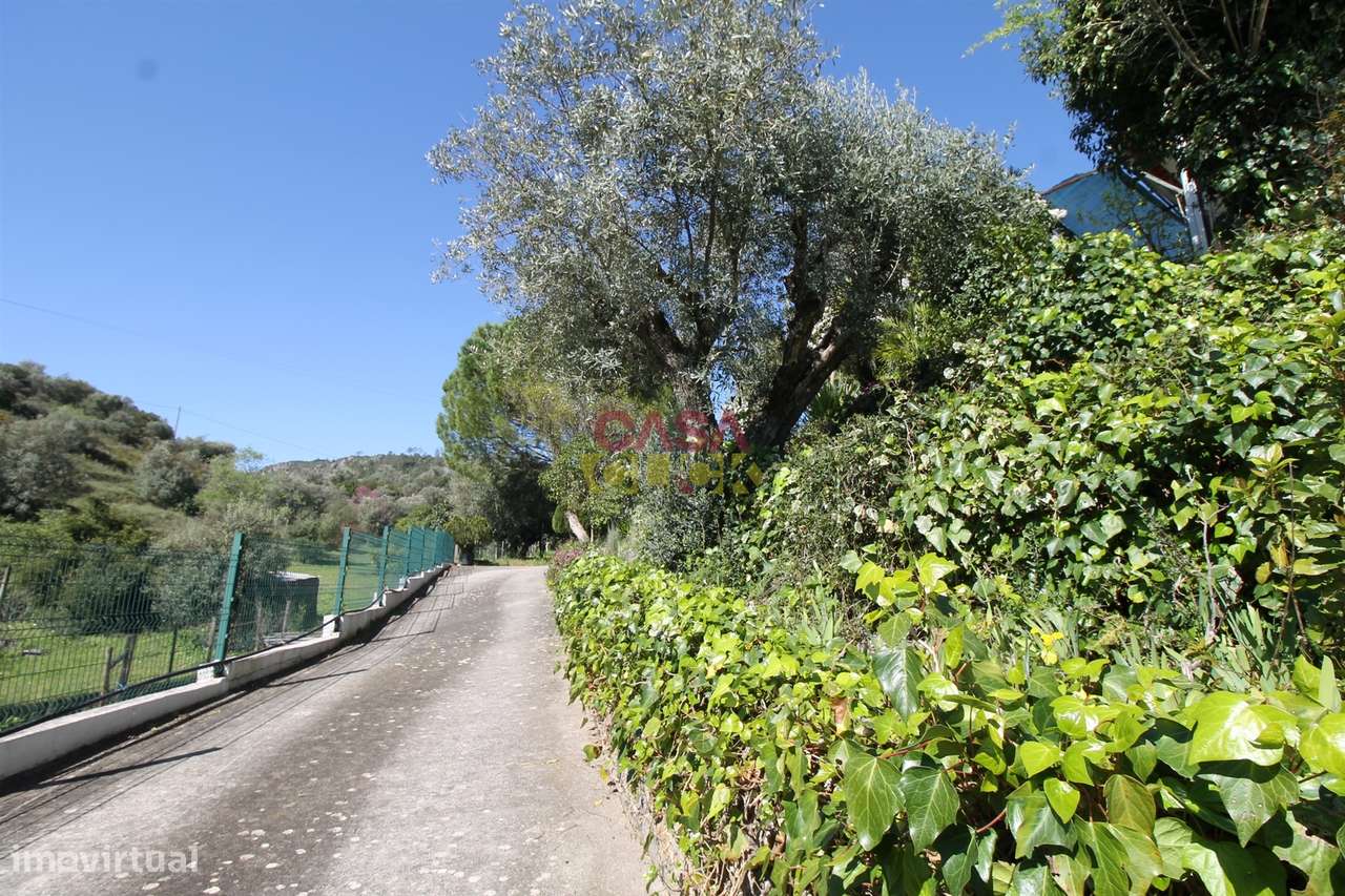 Moradia T3+2 Venda em Zibreira,Torres Novas-15