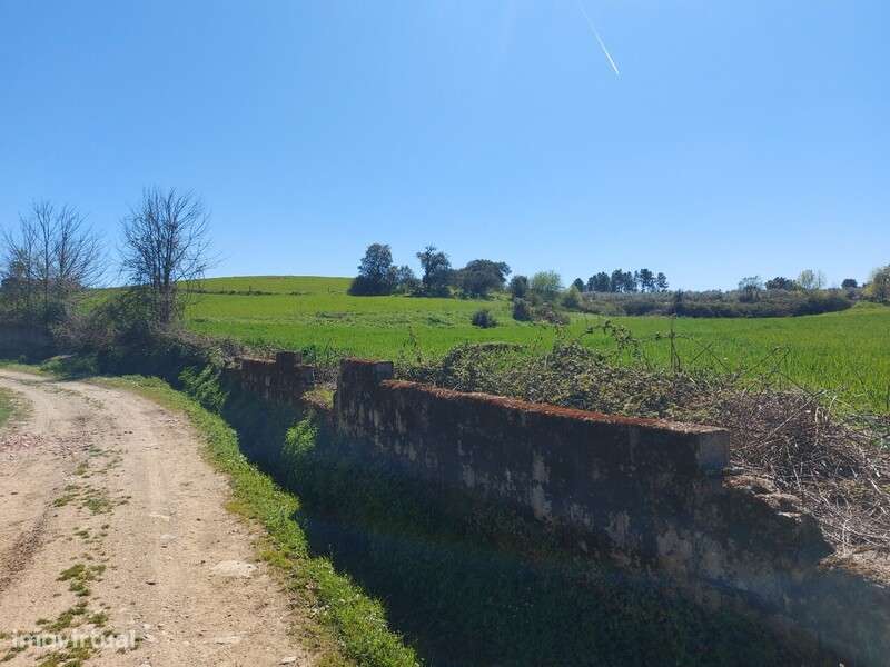 Venda Judicial Terreno Rústico Presa-Covinhas Castro Vicente - Grande imagem: 5/16