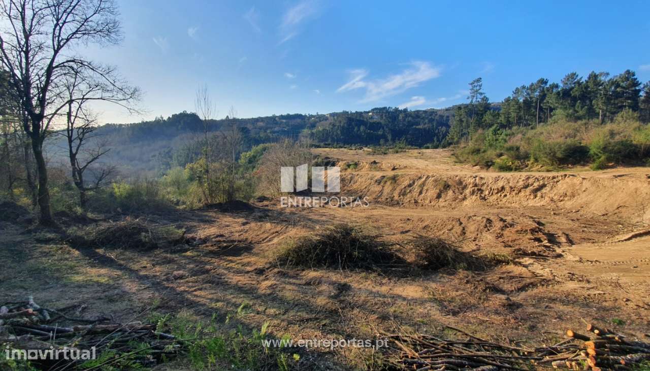 Venda Terreno, Várzea de Ovelha e Aliviada, Marco de Canaveses - Grande imagem: 2/30