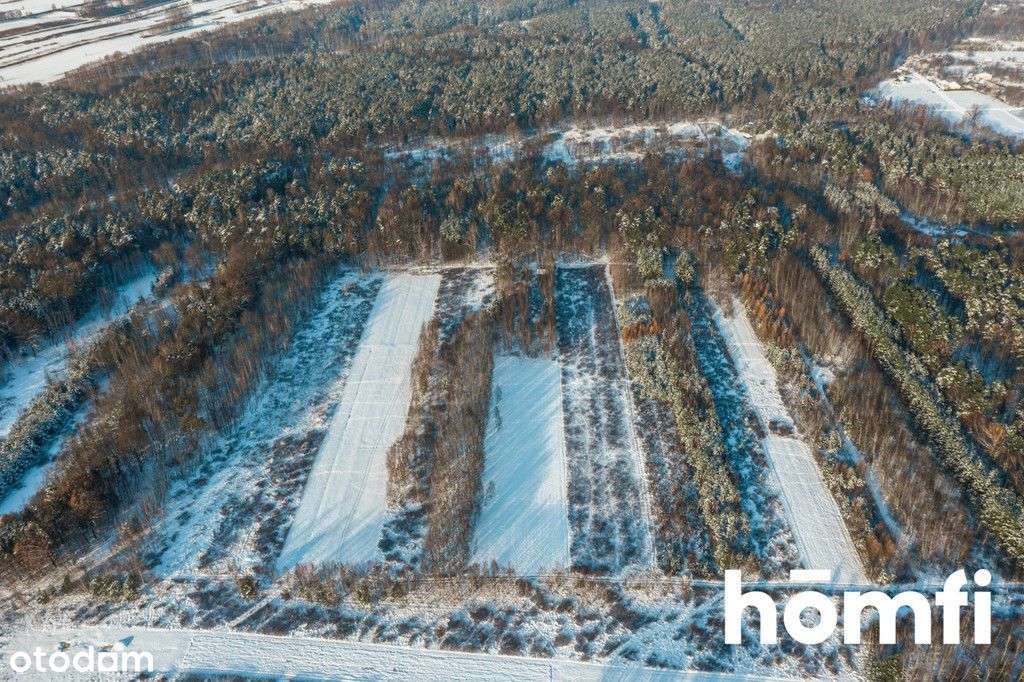 Działka Rolna 1,14 ha k. Rzeszowa / Pogwizdów - Pełny obrazek: 5/9