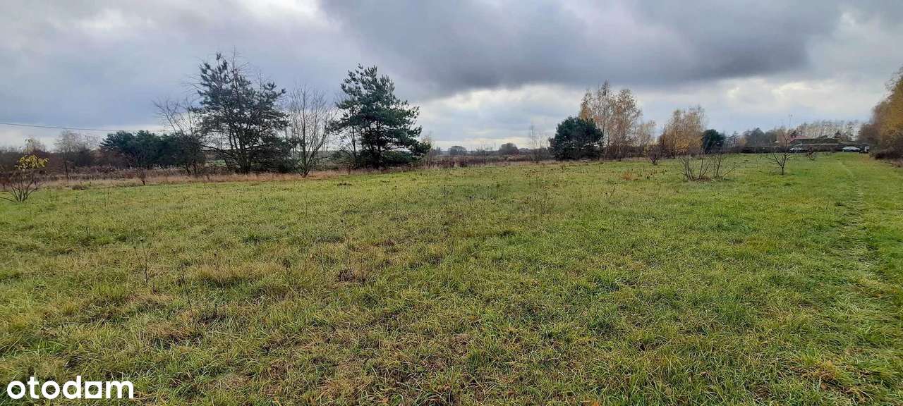 duża działka budowlana ⭐Szczaki⭐
