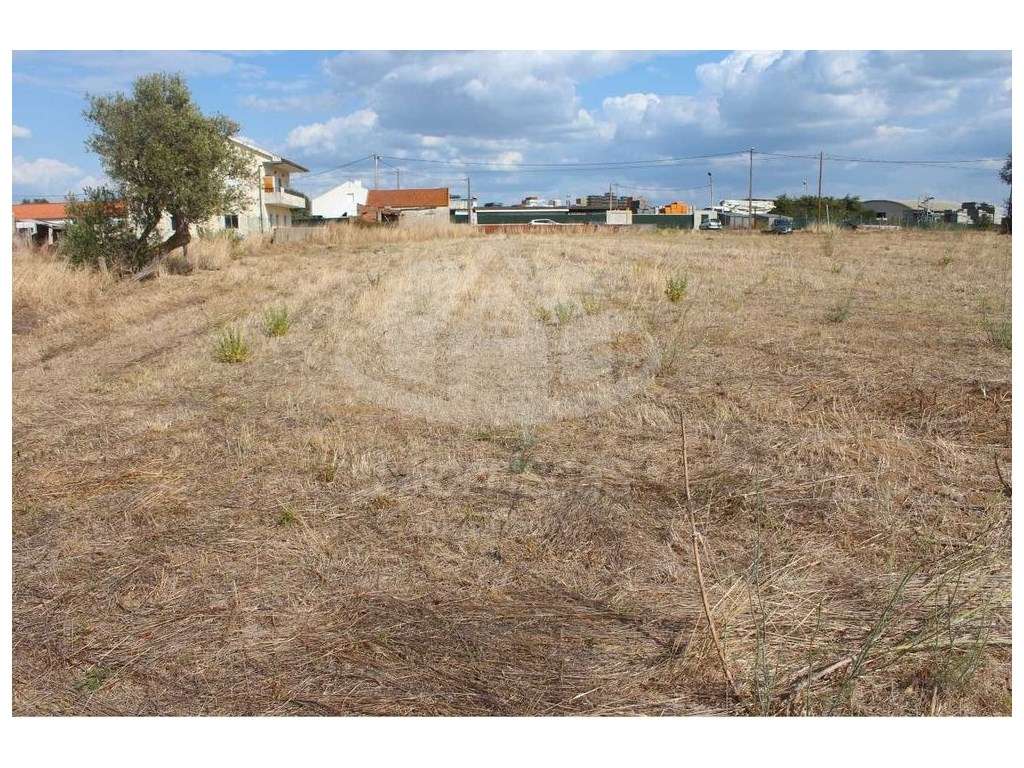 Terreno de 3.960 m², com projeto aprovado em Santo Antão do Tojal, ... - Grande imagem: 4/14