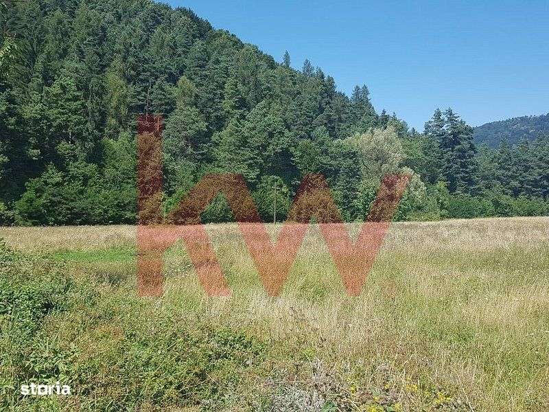 Teren intravilan Sacele - Bradet cu deschidere la DN - Imagine principală: 2/8