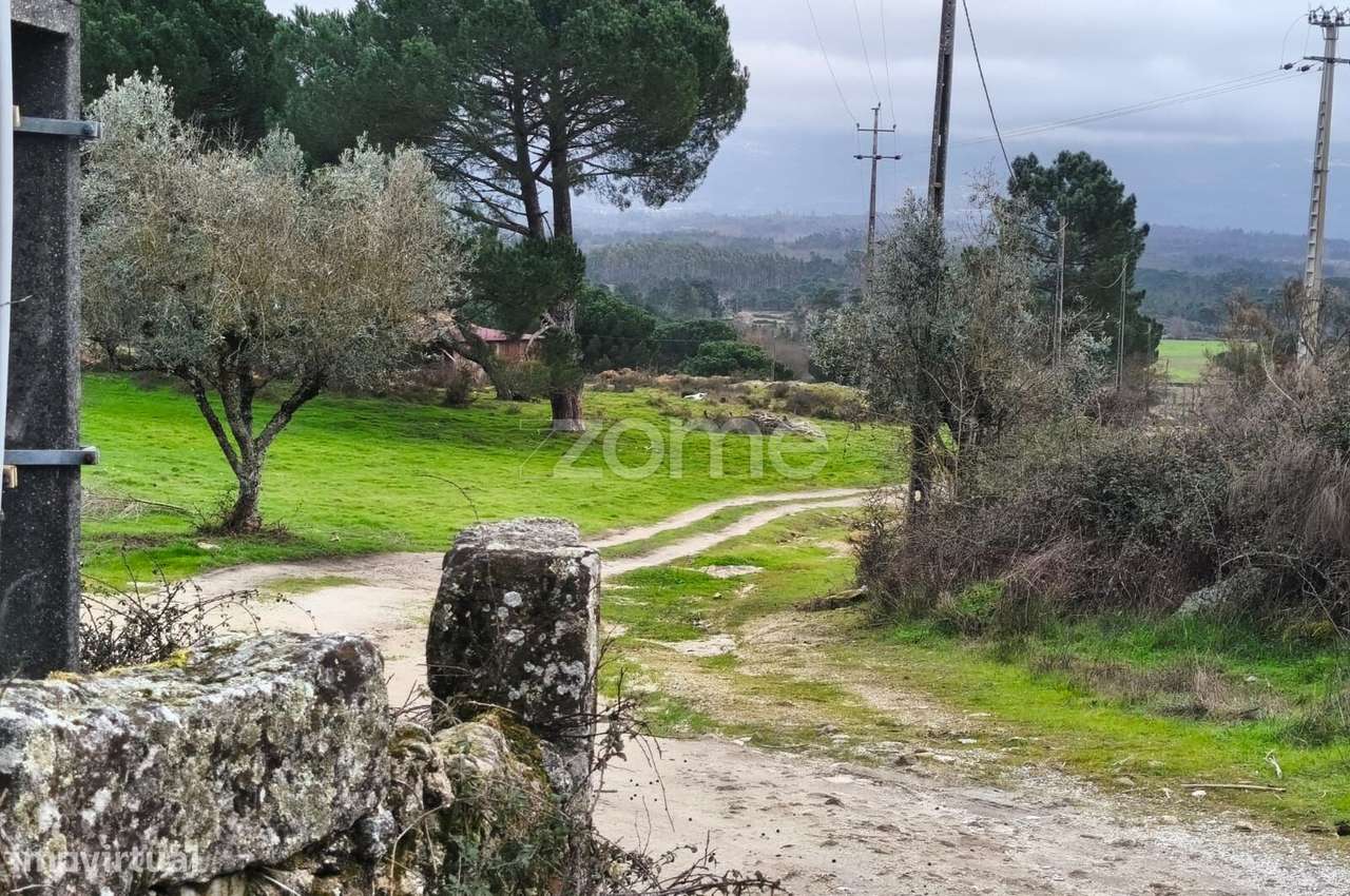 Moradia T3|Quinta com 15 hectares | Serra da Estrela | Garagem |-33