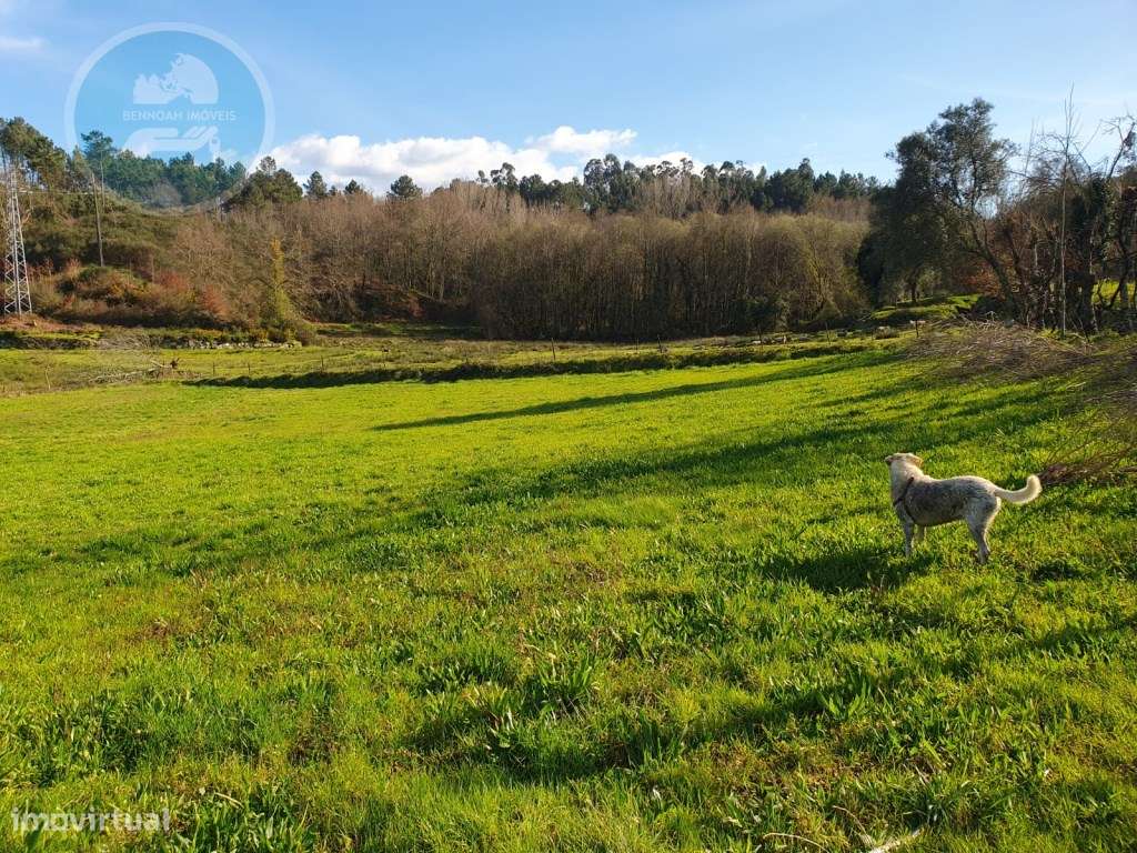 Quinta à venda, localizada no Lugar de Água Redonda, Cabeceiras de ...-35