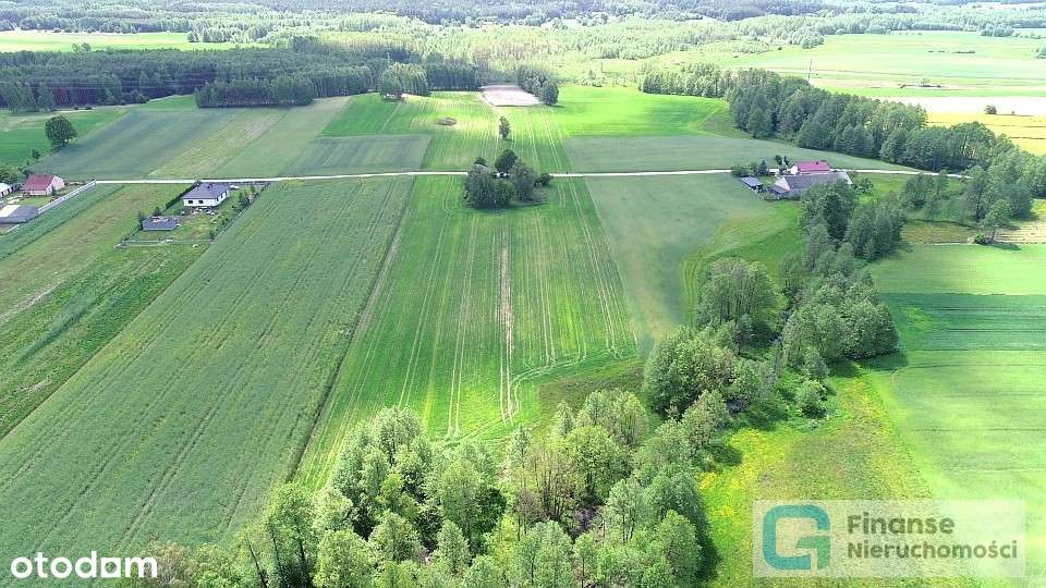 Dwa domy i duża działka w cenie mieszkania - Pełny obrazek: 4/14