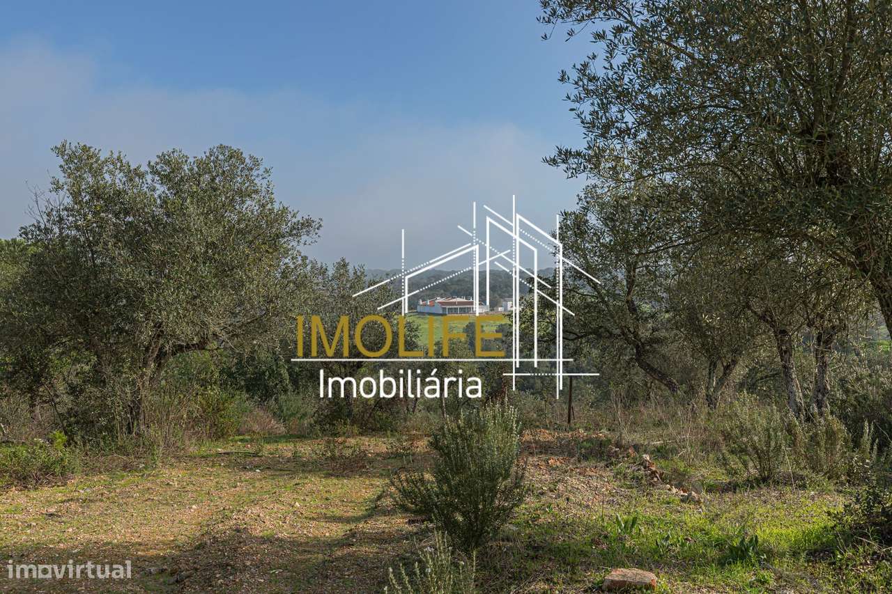 MONTINHO DO CHIADO - MALARRANHA - PAVIA-25