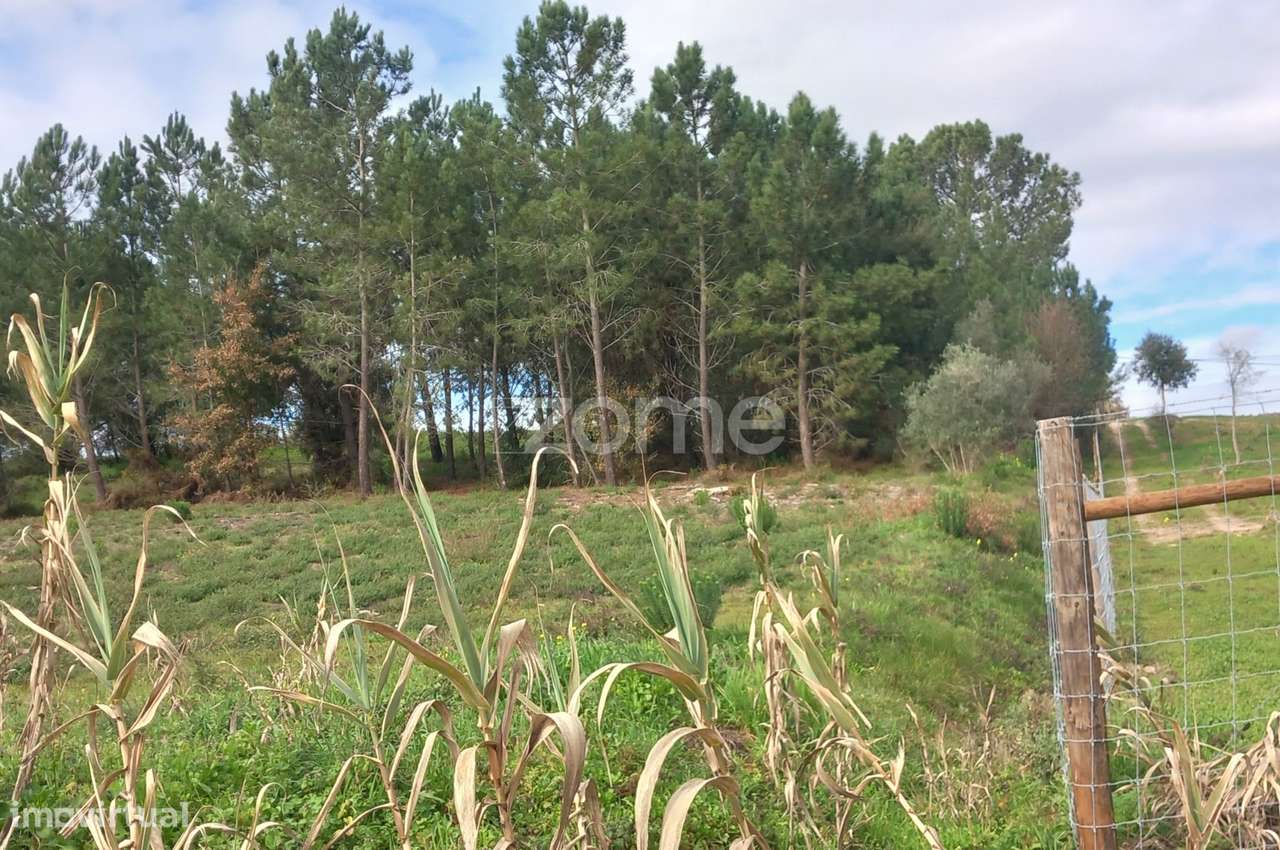 Terreno Rústico - Grande imagem: 5/8